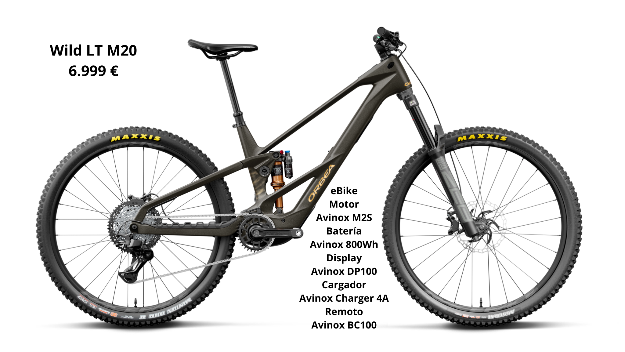 Orbea Wild LT M20